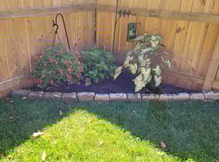 Weeding by Miguel Santos for Mary A. in Silver Spring, MD