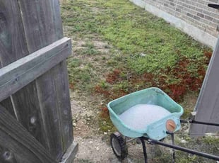 Aeration by Francisco Gutierrez for Sean P. in Kyle, TX