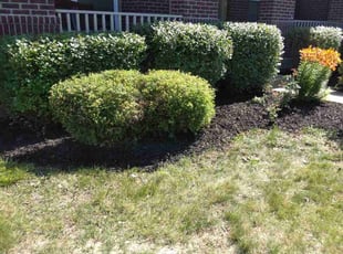 Landscaping by Steve Kaviak for Rebecca S. in Avon, IN