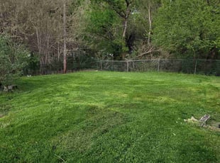 Kendall J.'s Lawn Mowing service result