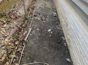 Leaf Removal by Reginald Jones for Calla A. in Petersburg, VA