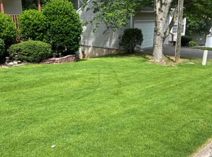 Effie M.'s Lawn Care service result