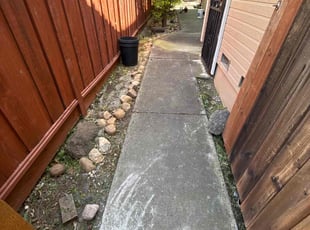 Leaf Removal by Maria Almendra for Dira J. in Antioch, CA
