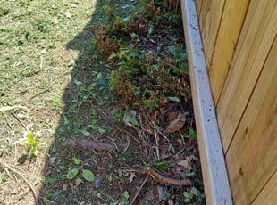 Bush Trimming by Joshua McDonald for Gladys G. in Rogers, AR