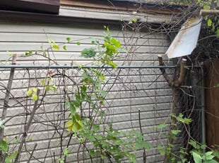 Bush Trimming by Andrew Snell for Troy D. in Mount Clemens, MI