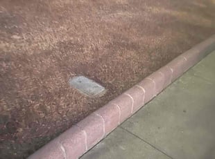 Leaf Removal by Guillermo Rodriguez for Loren C. in Bakersfield, CA