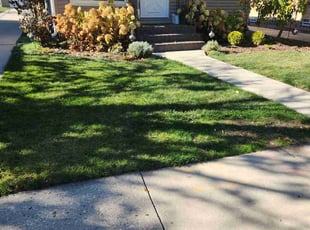 Leaf Removal by Ronnie Anderson for Victoria S. in West Allis, WI