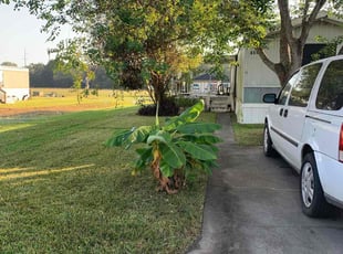 Rick T.'s Lawn Service service result