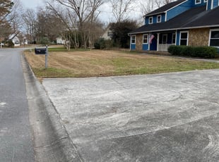 Leaf Removal by William Sellers for Justin L. in Charleston, SC