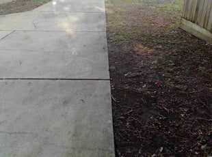 Leaf Removal by Daniel Campos for Brandon Y. in Houston, TX