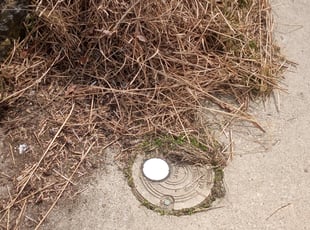 Cleanups by Parris Lisembee for Amy P. in Cincinnati, OH