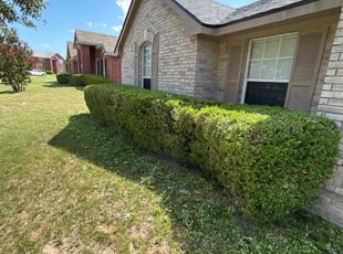 Megan D.'s Bush Trimming service result