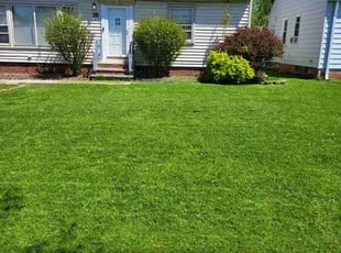 Kathy V.'s Lawn Maintenance service result