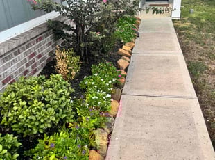 Weeding by Edwin Fernandez for Stephanie G. in Katy, TX