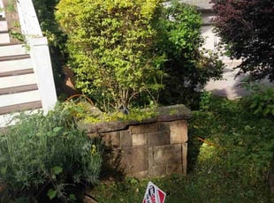 Bush Trimming by Joshua Walker for Elliot G. in Avondale Estates, GA