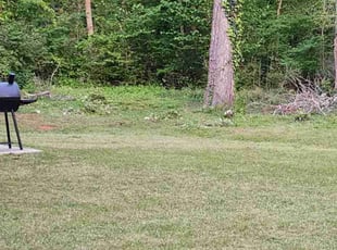 Bush Trimming by Willie P for LaTreasha L. in Conyers, GA