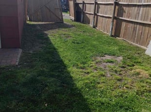 Cleanups by Larry Gordon for Delphine B. in Portsmouth, VA