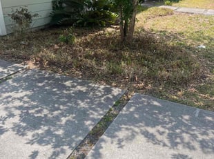 Bush Trimming by Josue Nunez for Amanda P. in Orlando, FL