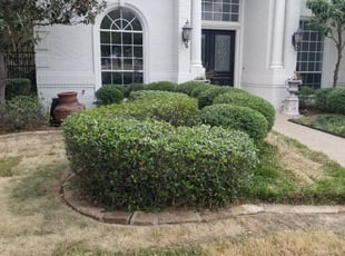 Bush Trimming by Marckus Newhouse for Hunter H. in Fort Worth, TX