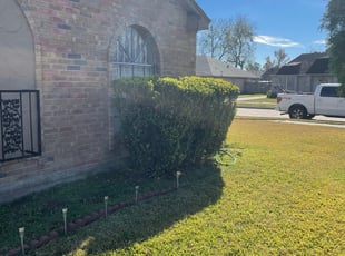 Bush Trimming by Thomas Foster for Annie L. in Houston, TX
