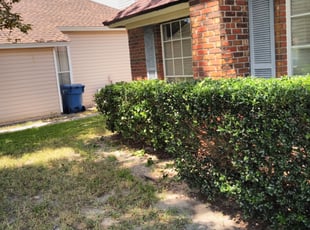 Bush Trimming by Thimothy Smith for Edward H. in Jacksonville, FL