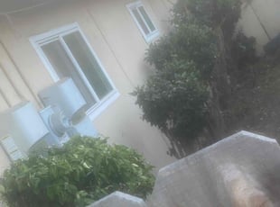 Bush Trimming by Earl Miller for Samuel B. in San Diego, CA