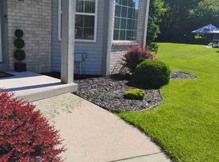 Bush Trimming by Dontrell Hood for MaRico H. in Brown Deer, WI