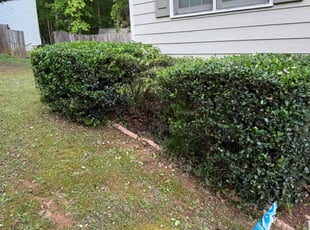 Bush Trimming by Ethan Wright for Darla M. in Dallas, GA