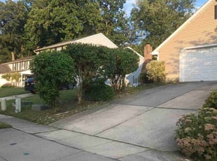 Bush Trimming by Michael Ellick for Mark S. in Washington Township, NJ