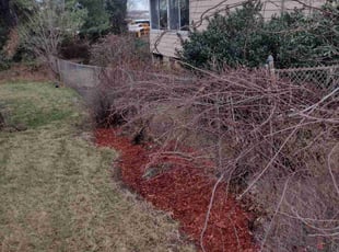 Weeding by Matthew Spinelli for Bela G. in Stratford, CT