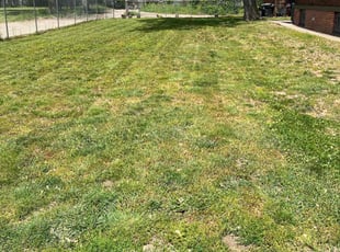 Cleanups by Jaylin Roberts for Jesse K. in Southfield, MI