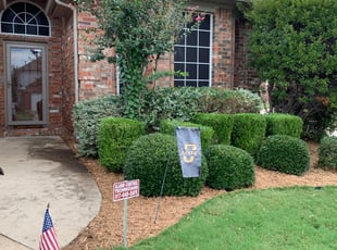 Mulching by Nathan Hogsett for Cameron C. in Fort Worth, TX