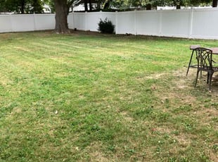 Sherry H.'s Lawn Service service result