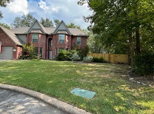 Thaddius H.'s Lawn Service service result