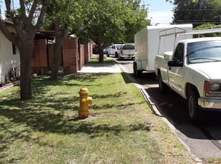 Bush Trimming by Gideon Cook for Richard K. in Phoenix, AZ