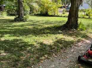 Leaf Removal by James Abernathy for regina p. in Cincinnati, OH