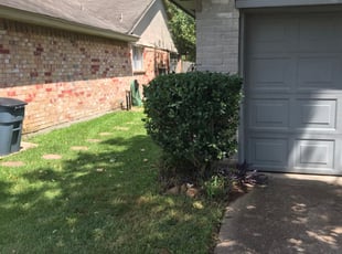 Bush Trimming by Omar MartÃnez for Mamie R. in Houston, TX