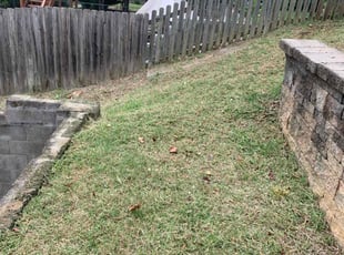 Cleanups by Dustin Rowland for Mike R. in Petersburg, VA