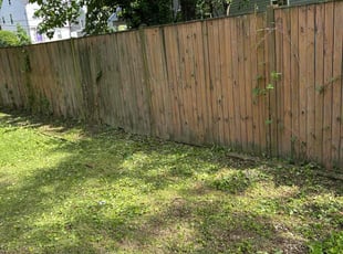 Weeding by Steven Foster for Jennifer C. in Washington, DC