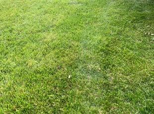 Mulching by Dylan Butler for Shauna M. in Cincinnati, OH