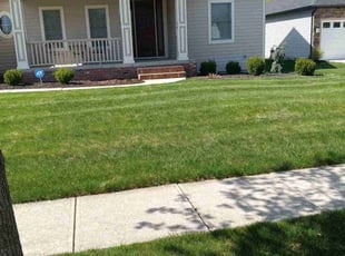 Lydia S.'s Lawn Mowing Service service result