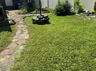 Andrew H.'s Yard Cutting service result