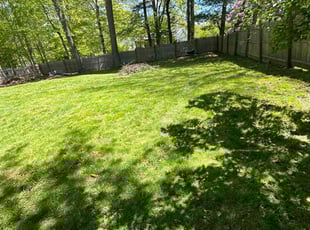 Priscilla S.'s Lawn Mowing service result
