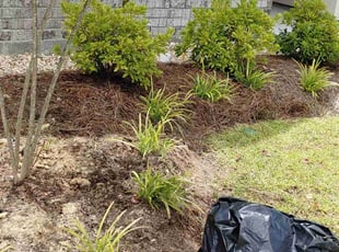 Weeding by Timothy Vicknair for Keishele J. in Gonzales, LA