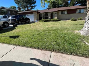 Weeding by Jesse Nunez for Vasa T. in Aurora, CO