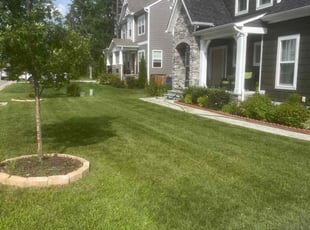 Satyam A.'s Lawn Care service result