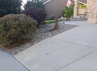 Bush Trimming by Sharmaine Miranda for Terese G. in Colorado Springs, CO