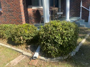 Bush Trimming by Michael Scipio for Aja A. in West Columbia, SC