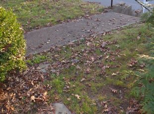 Cleanups by Hayden Jensen for Heather T. in Asheville, NC