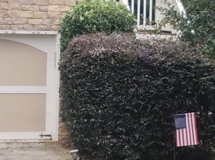 Bush Trimming by Gerald Oyerindr for Natalie G. in Atlanta, GA